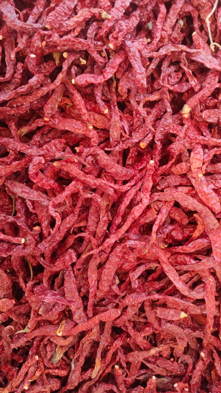 Indian Red Dry Chillies Stemless