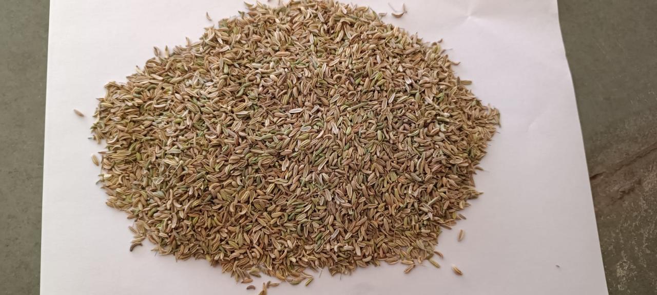 Cumin Whole