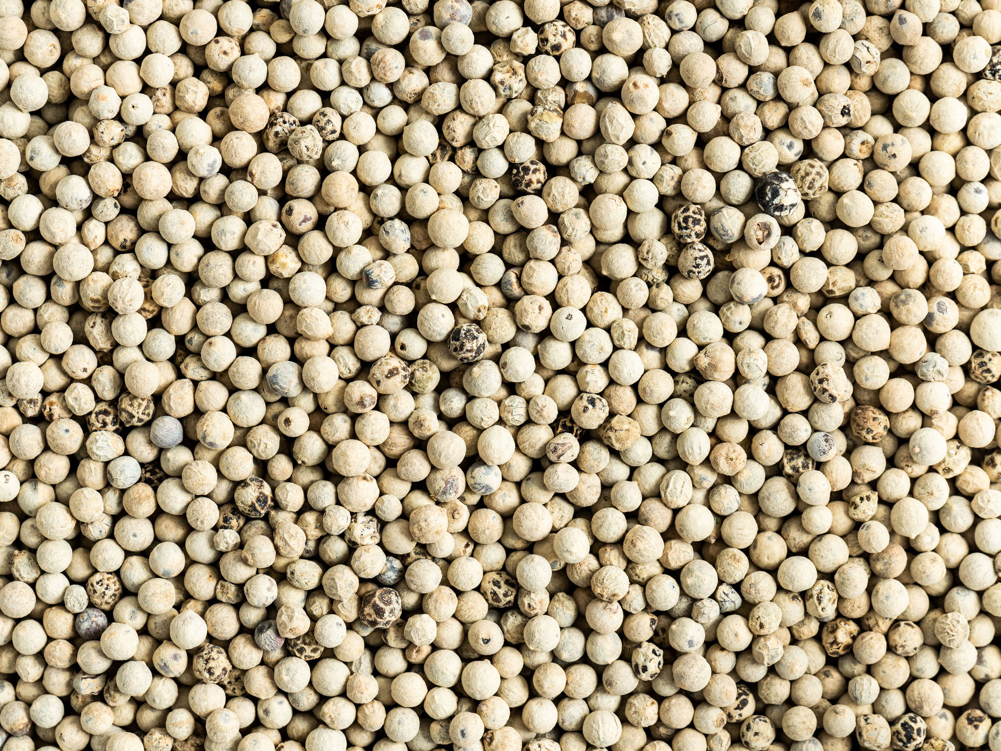 White Pepper Whole