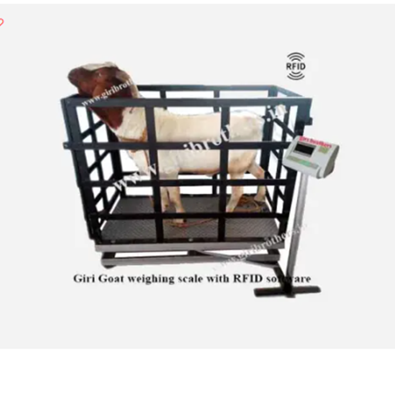 GOAT/PIG/DOG Weighing Machine