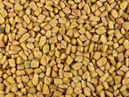 Fenugreek Seed