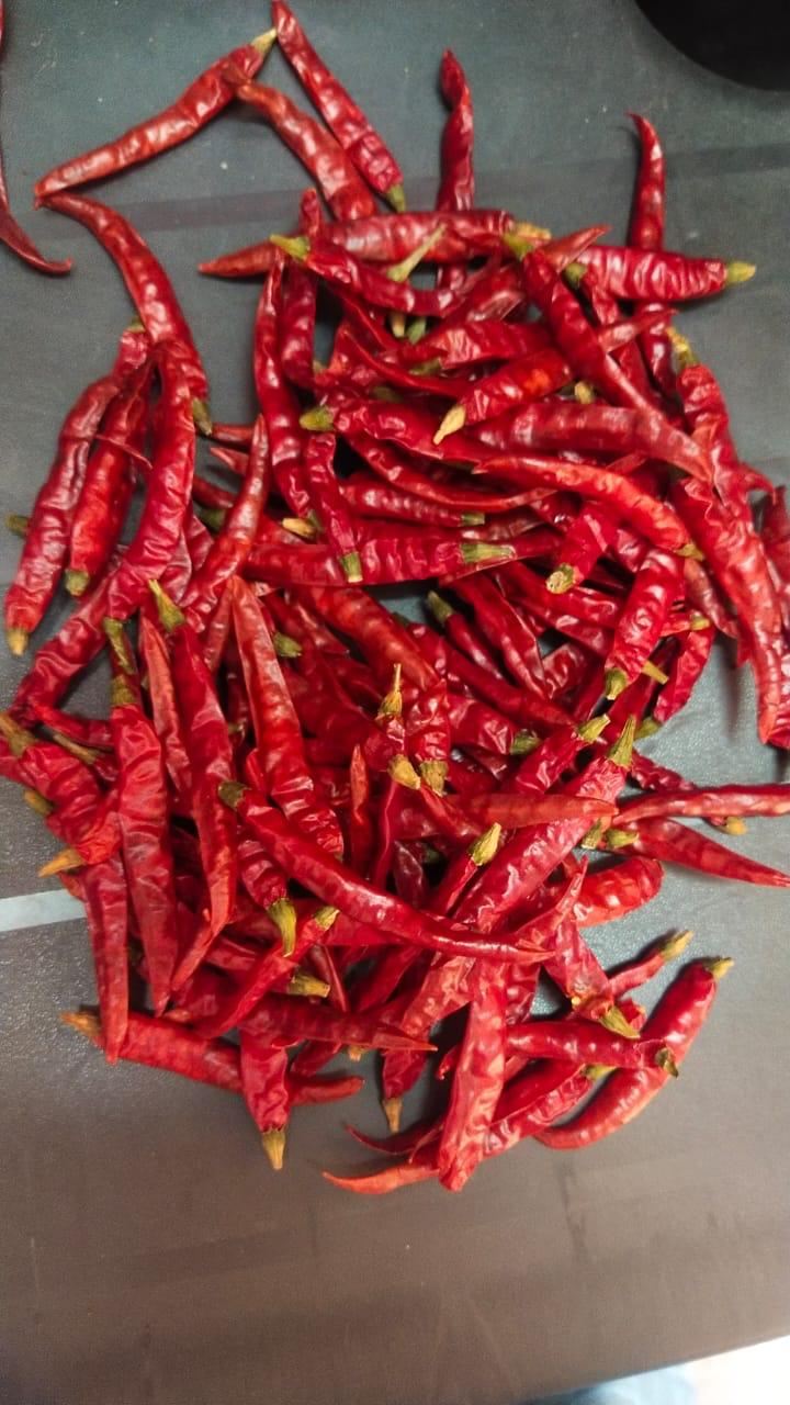 Indian Red Dry Chilies SC