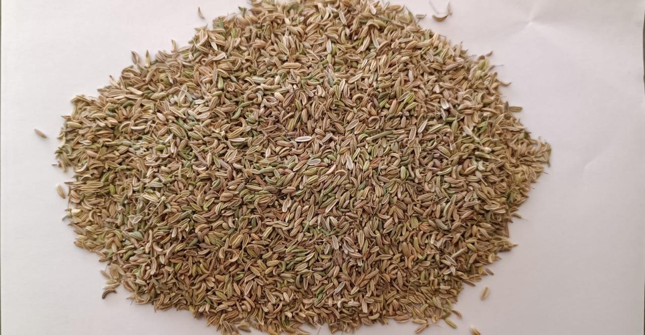 Cumin Seed