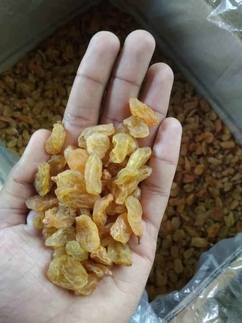 Nashik Raisins