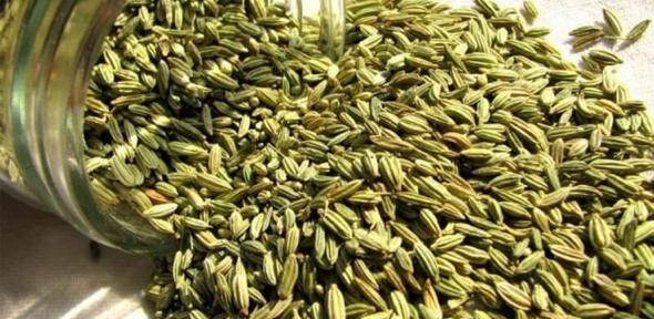 Green Fennel seed