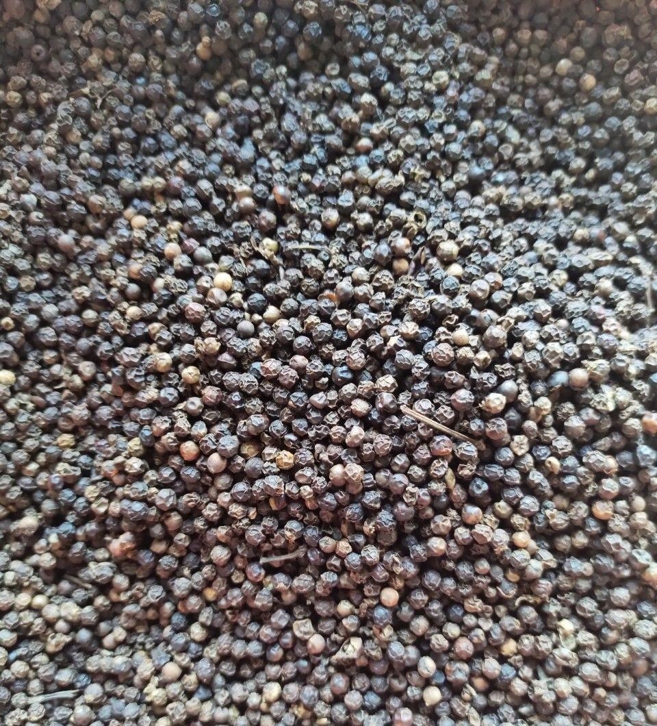Black Pepper Vietnamese
